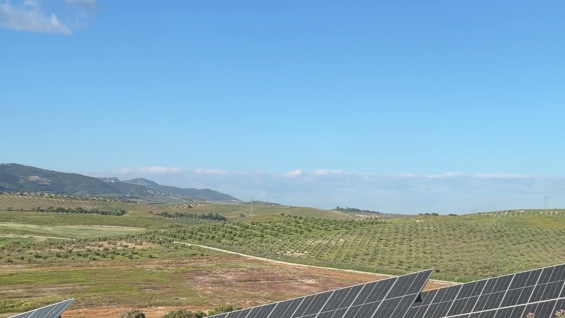 Hileras de paneles fotovoltaicos bajo un cielo azul, con olivares y montañas al fondo
