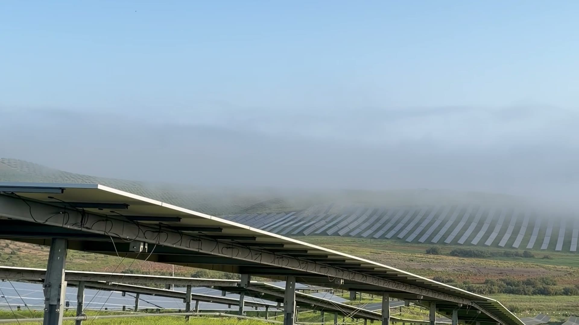 Mañana con niebla baja sobre una planta fotovoltaica; las filas de paneles del fondo se desvanecen en la bruma